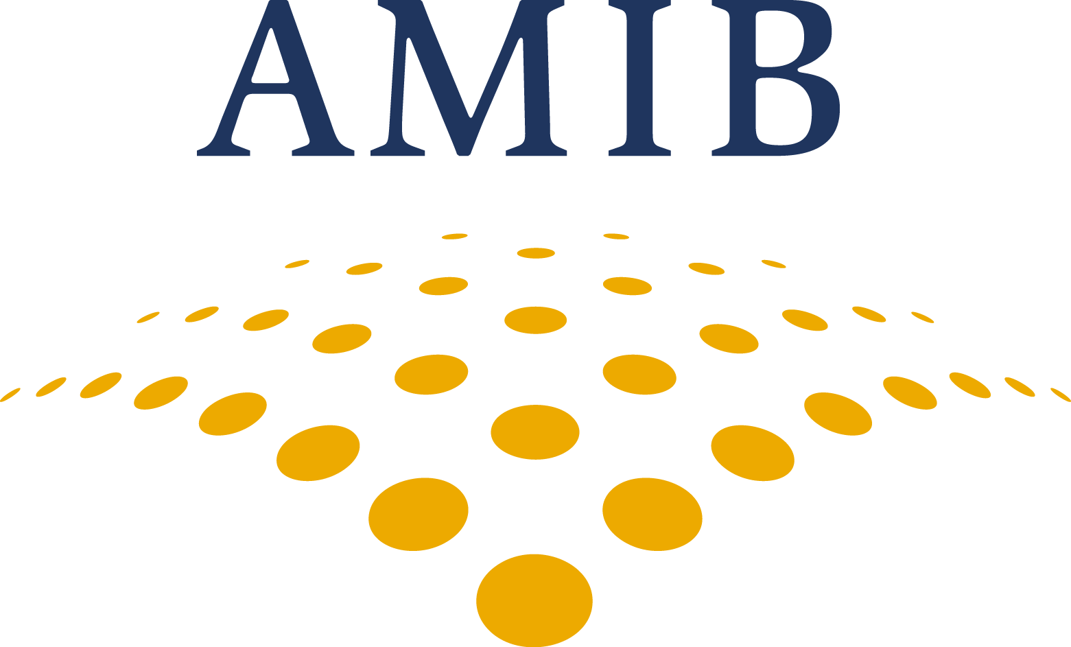 AMIB