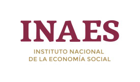inaes-1