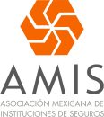 AMIS-LOGO-NUEVO-VERTICAL-1371x1536